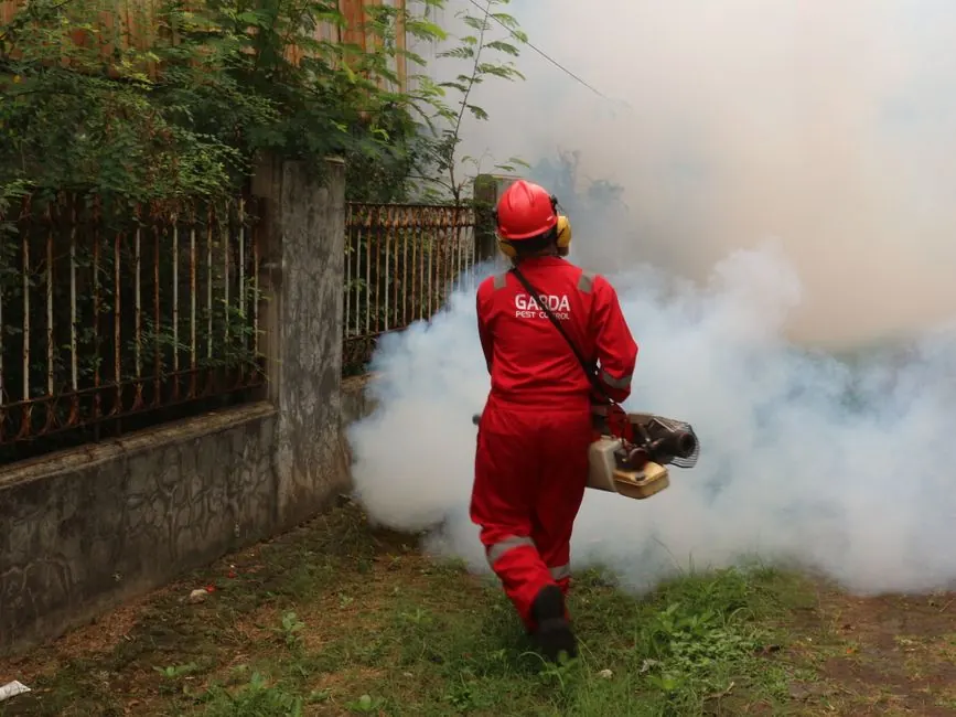 Residential Termite Control