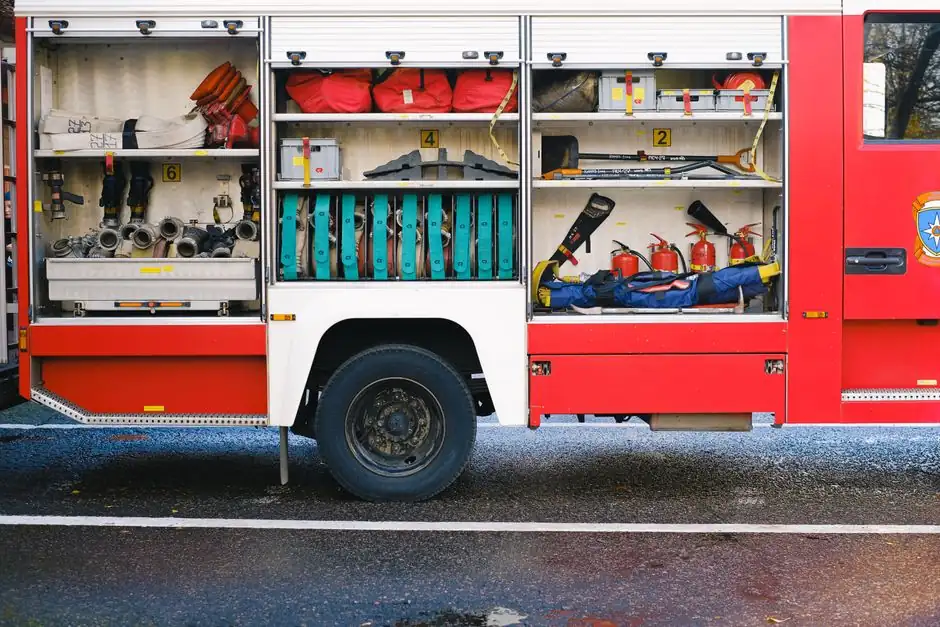 Emergency Pest Control